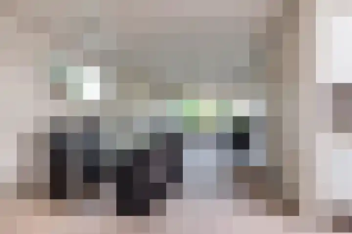 Boerhaavelaan 38 Tiel thumbnail 8