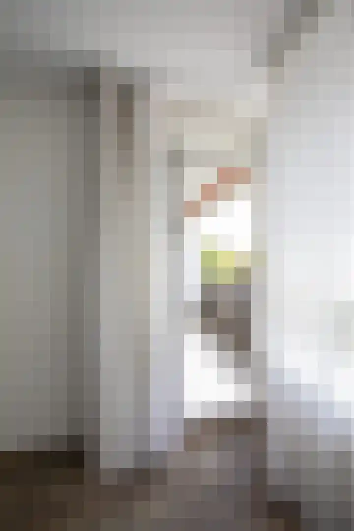 Boerhaavelaan 4 Almelo thumbnail 15