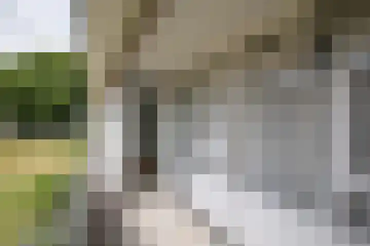 Boerhaavelaan 4 Almelo thumbnail 16