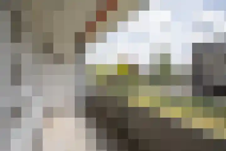 Boerhaavelaan 4 Almelo thumbnail 18