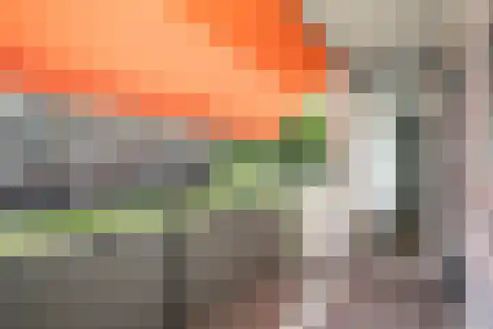 Boerhaavelaan 4 Almelo thumbnail 19