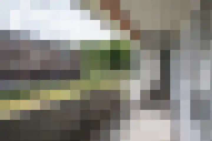 Boerhaavelaan 4 Almelo thumbnail 20