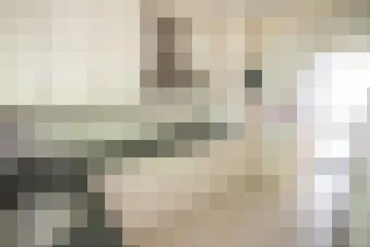 Boerhaavelaan 4 Almelo thumbnail 22