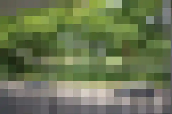 Boerhaavelaan 4 Almelo thumbnail 4