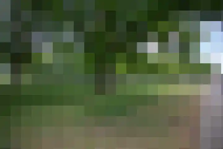 Boerhaavelaan 4 Almelo thumbnail 50