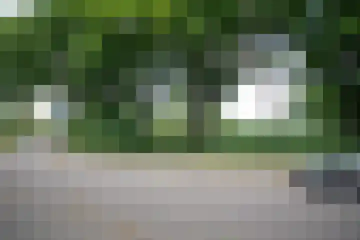 Boerhaavelaan 4 Almelo thumbnail 51