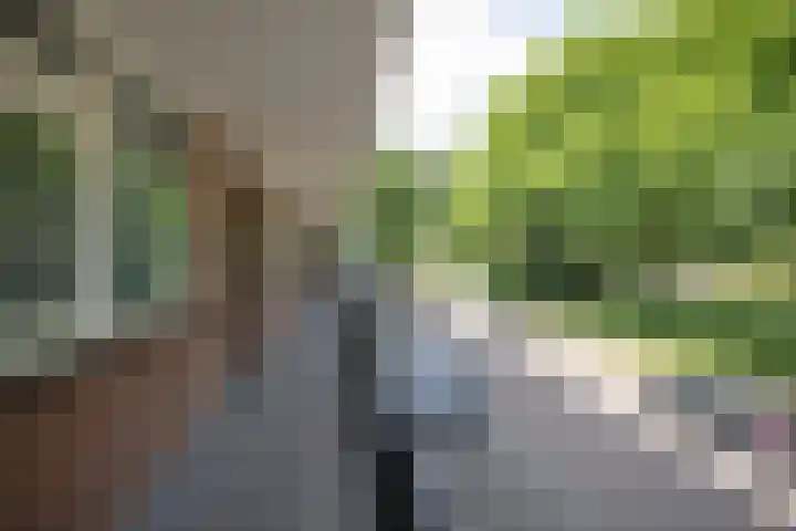 Boerhaavelaan 4 Almelo thumbnail 8