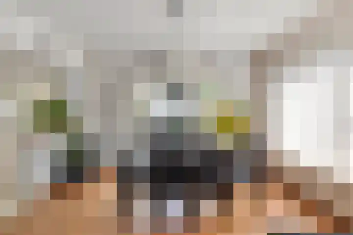 Boerhaavelaan 4 Helmond thumbnail 13
