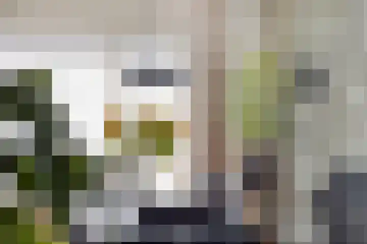 Boerhaavelaan 4 Helmond thumbnail 15