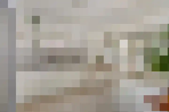 Boerhaavelaan 4 Helmond thumbnail 18