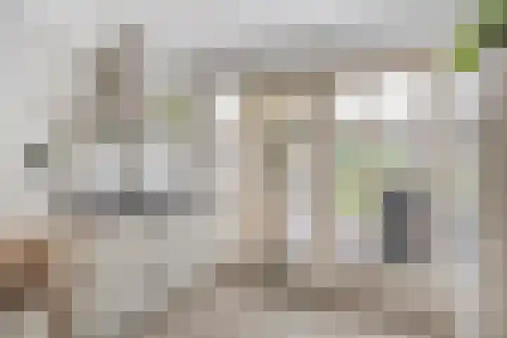 Boerhaavelaan 4 Helmond thumbnail 21