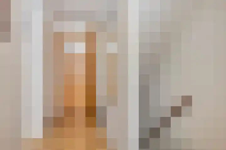 Boerhaavelaan 4 Helmond thumbnail 24