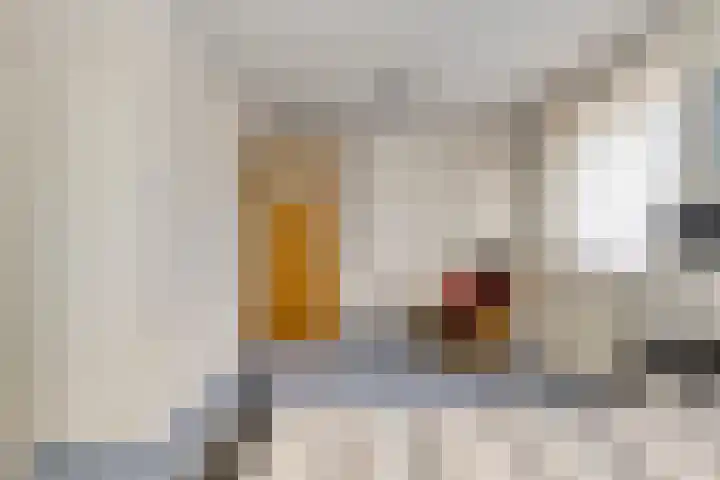 Boerhaavelaan 4 Helmond thumbnail 31