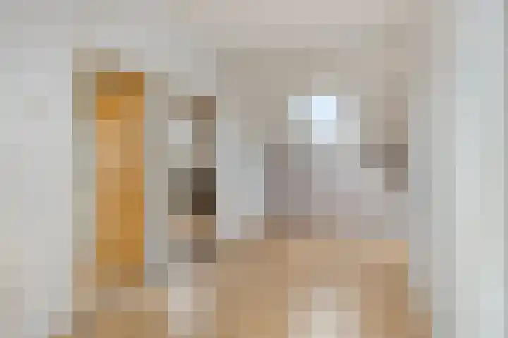 Boerhaavelaan 4 Helmond thumbnail 33