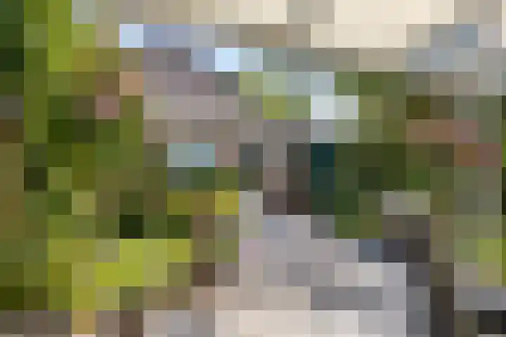 Boerhaavelaan 4 Helmond thumbnail 39