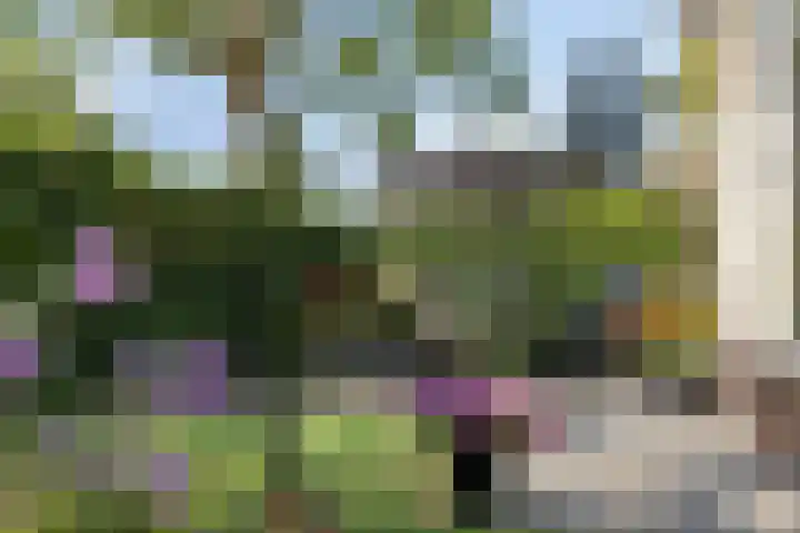 Boerhaavelaan 4 Helmond thumbnail 41