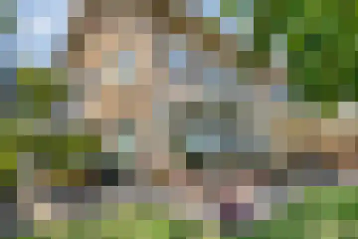 Boerhaavelaan 4 Helmond thumbnail 42