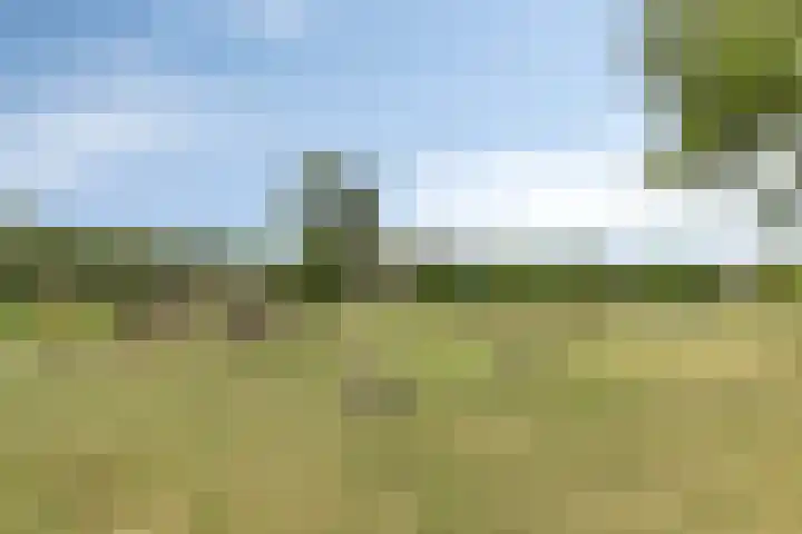 Boerhaavelaan 4 Helmond thumbnail 46