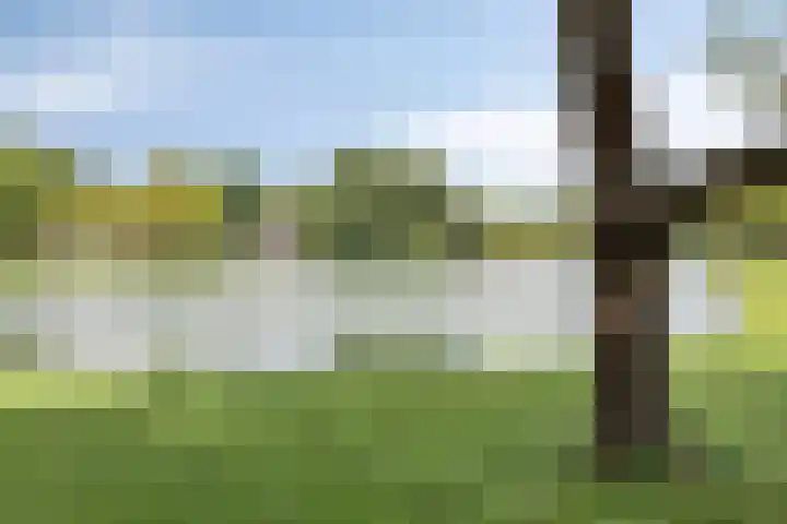 Boerhaavelaan 4 Helmond thumbnail 47