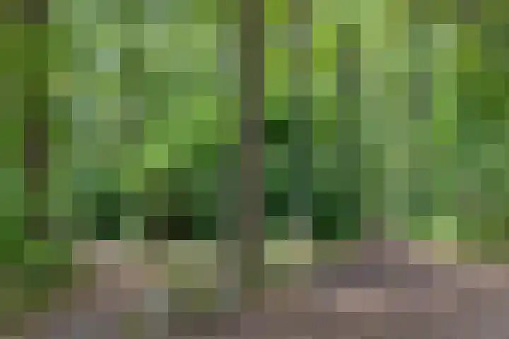 Boerhaavelaan 4 Helmond thumbnail 48