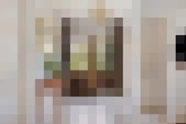 Boerhaavelaan 4 Helmond thumbnail 7
