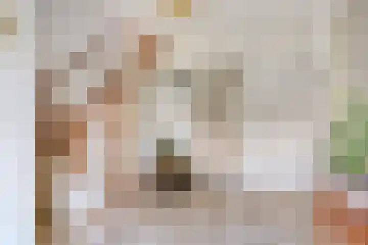 Boerhaavelaan 4 Helmond thumbnail 8