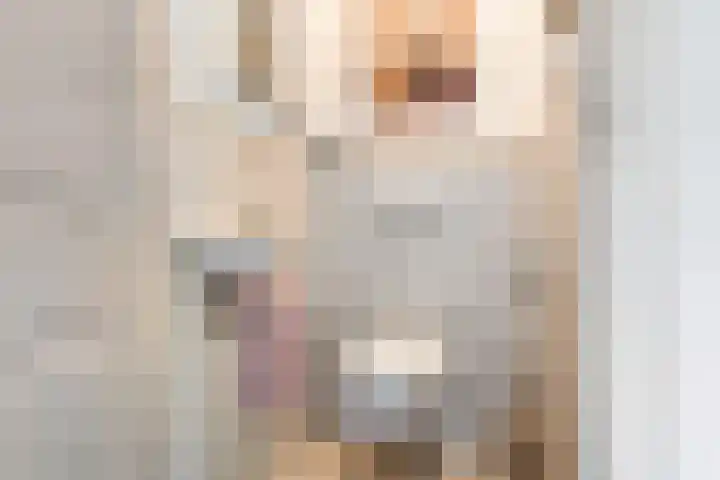 Boerhaavelaan 4 Helmond thumbnail 9