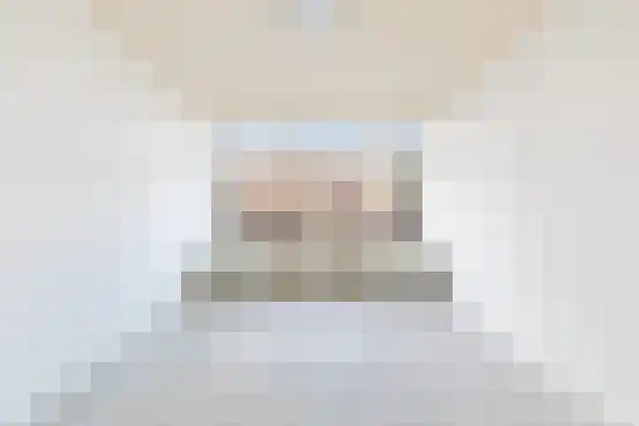 Boerhaavelaan 46 B 2 Schiedam thumbnail 10