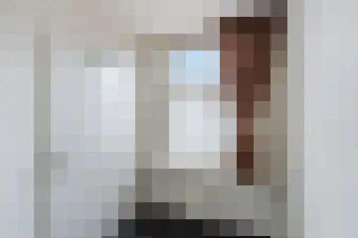 Boerhaavelaan 46 B 2 Schiedam thumbnail 16