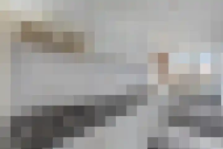 Boerhaavelaan 46 B 2 Schiedam thumbnail 5