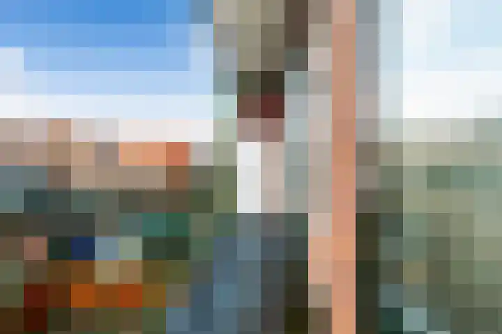 Boerhaavelaan 46 B 2 Schiedam thumbnail 8