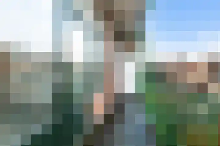 Boerhaavelaan 46 B 2 Schiedam thumbnail 9