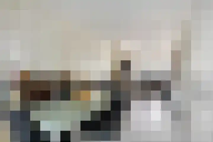 Boerhaavelaan 47 C Schiedam thumbnail 4
