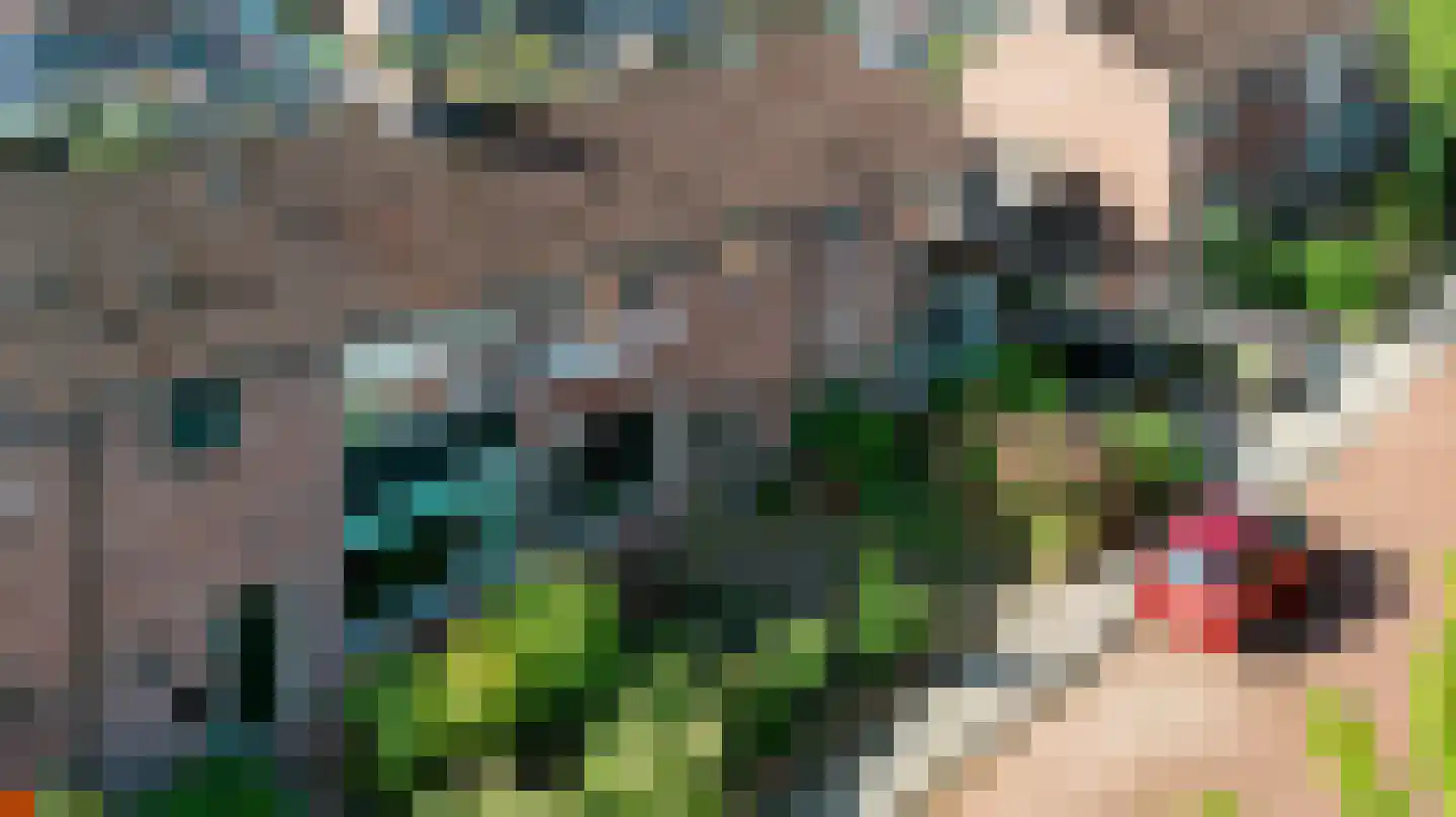 Boerhaavelaan 47 Eerbeek thumbnail 48