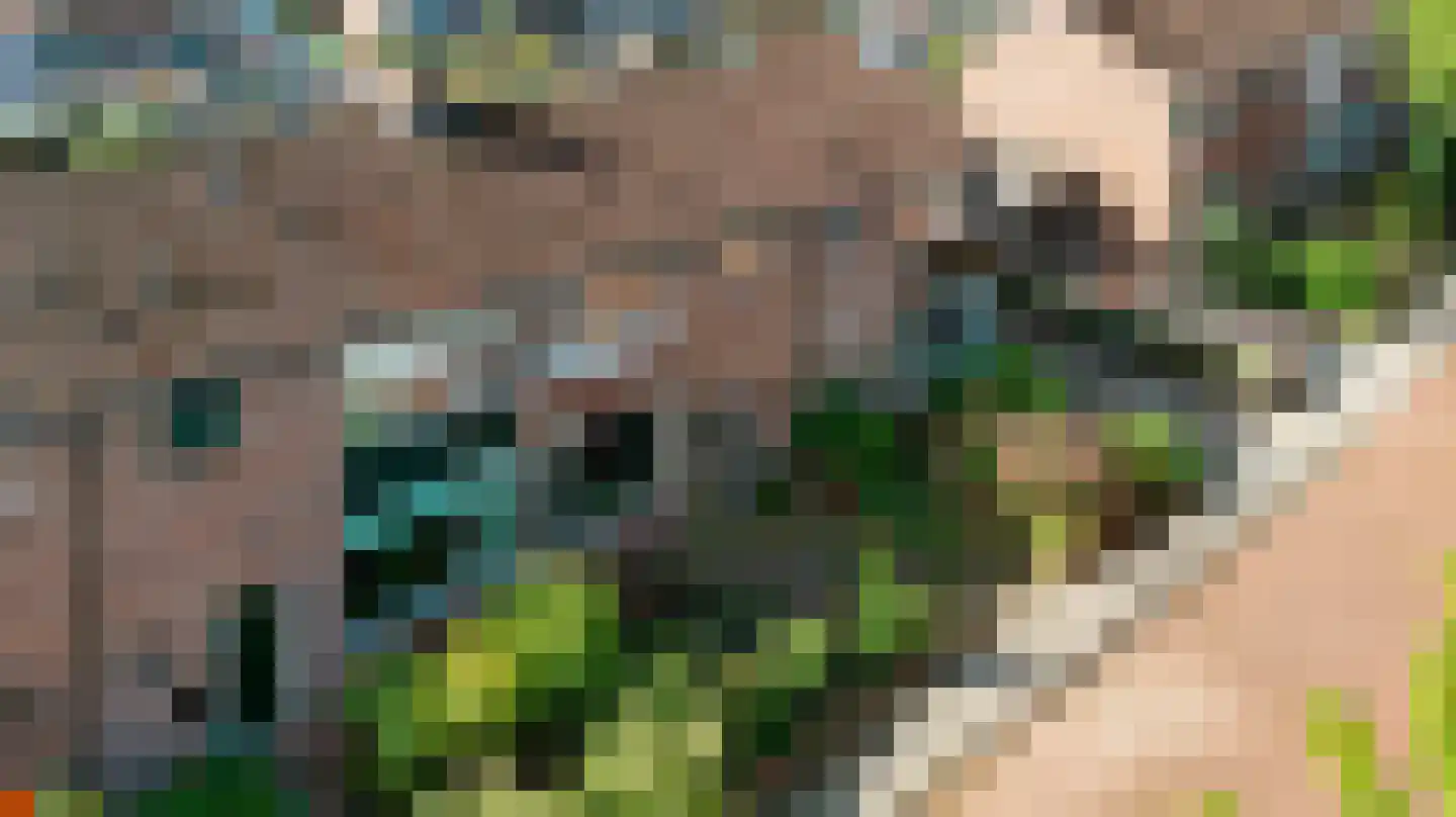 Boerhaavelaan 47 Eerbeek thumbnail 53