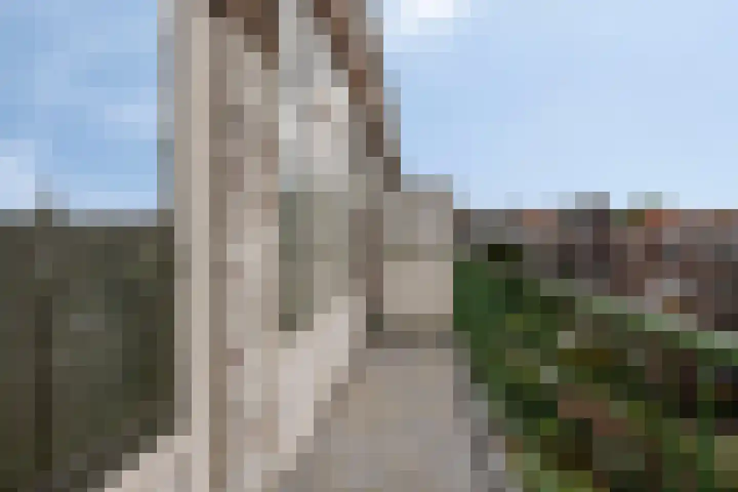 Boerhaavelaan 48 A 2 Schiedam thumbnail 23