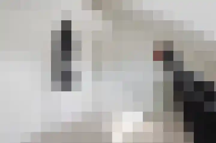 Boerhaavelaan 49 Eindhoven thumbnail 37