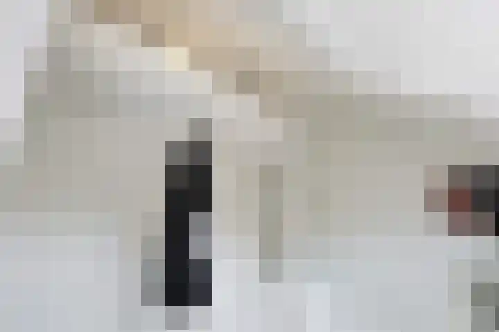Boerhaavelaan 49 Eindhoven thumbnail 38
