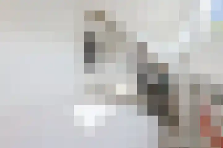 Boerhaavelaan 49 Eindhoven thumbnail 39