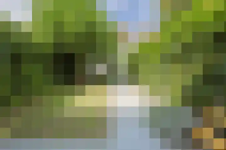 Boerhaavelaan 49 Eindhoven thumbnail 44