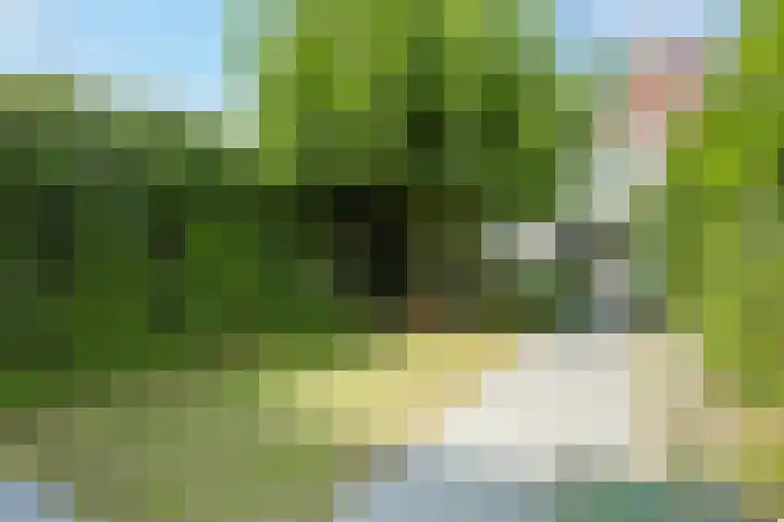 Boerhaavelaan 49 Eindhoven thumbnail 45