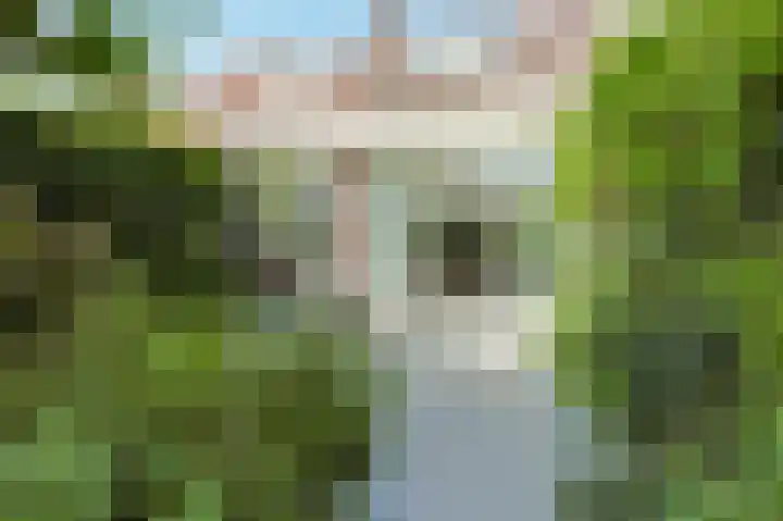 Boerhaavelaan 49 Eindhoven thumbnail 50
