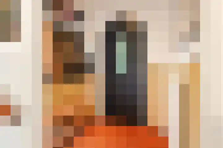 Boerhaavelaan 49 Eindhoven thumbnail 6