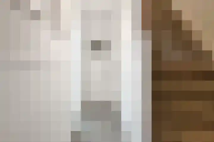 Boerhaavelaan 49 Eindhoven thumbnail 7