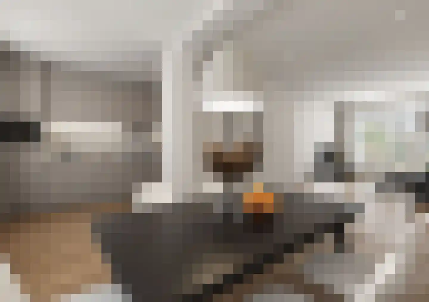 Boerhaavelaan 5 Zwolle thumbnail 16