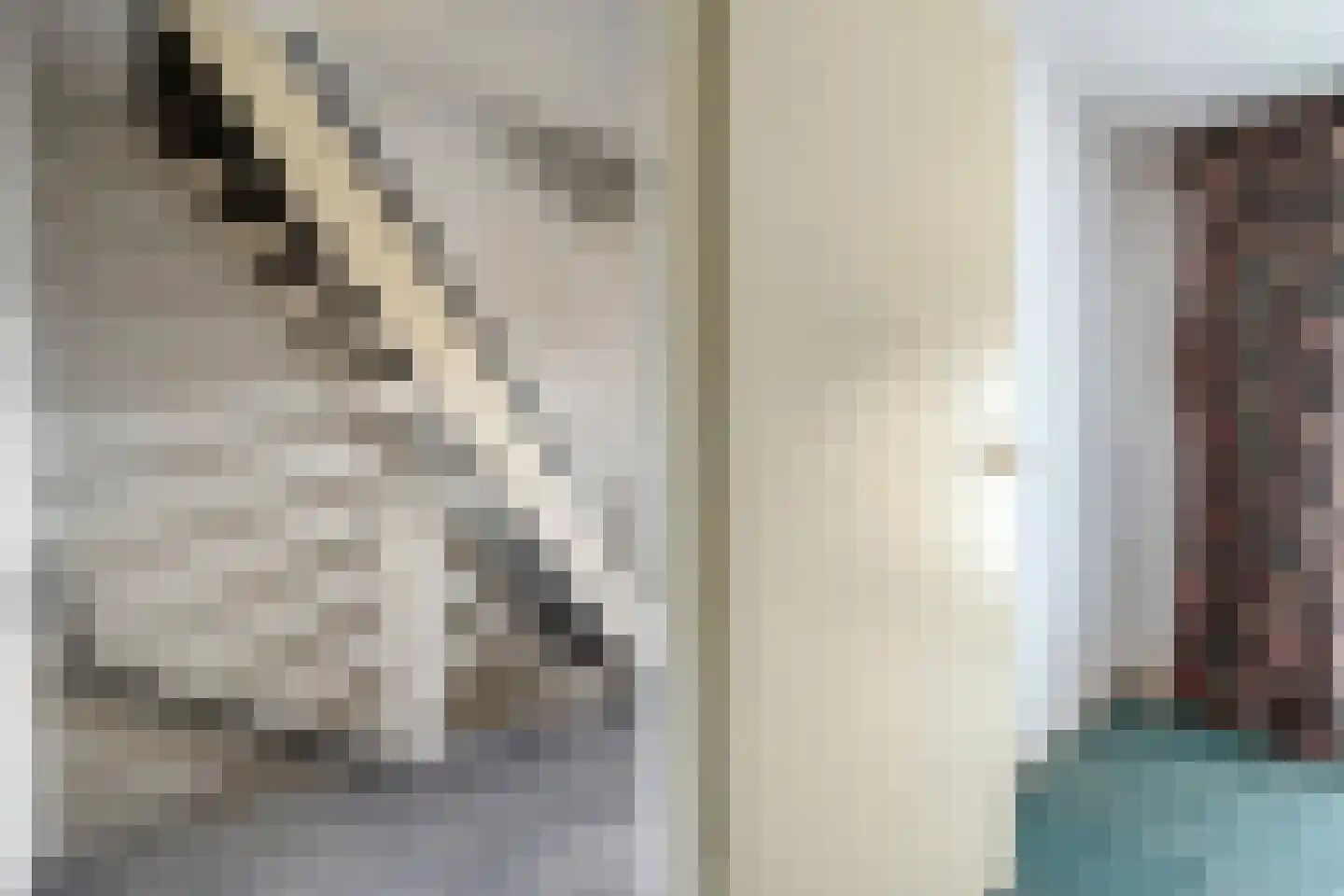 Boerhaavelaan 5 Zwolle thumbnail 22