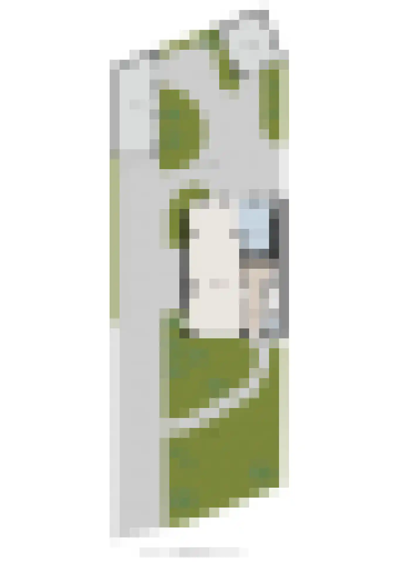 Boerhaavelaan 5 Zwolle thumbnail 51