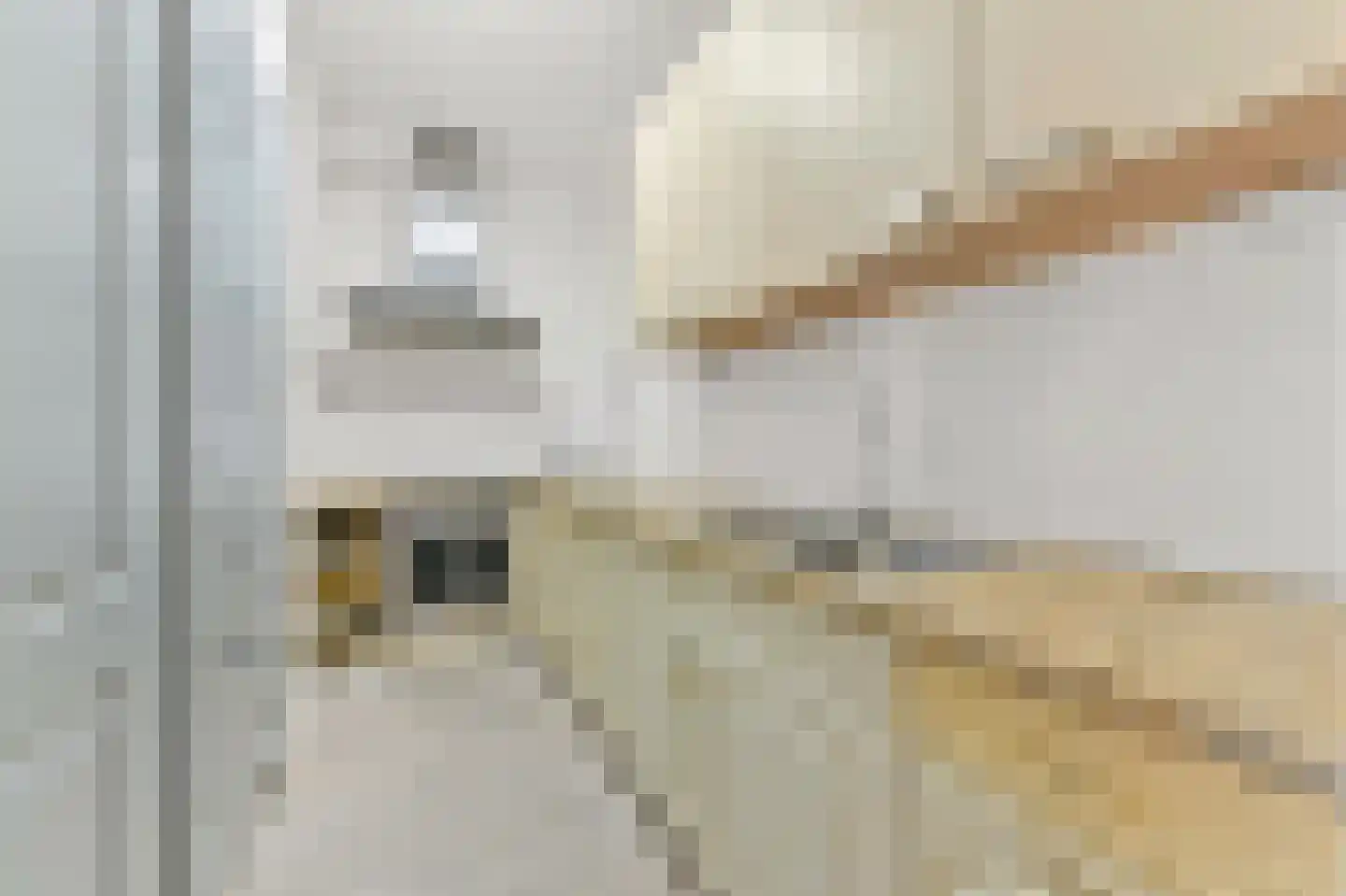 Boerhaavelaan 51 A Schiedam thumbnail 10