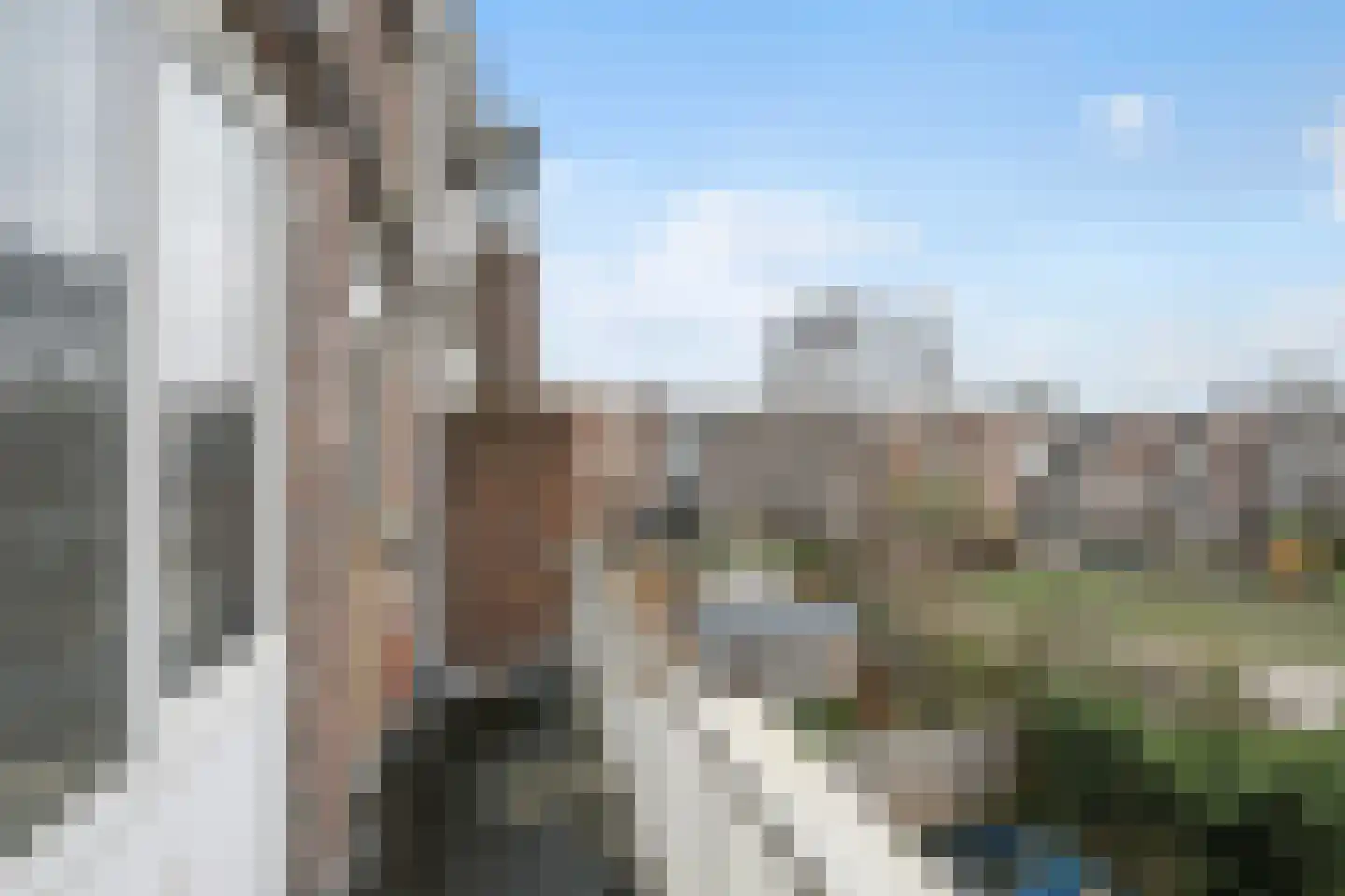 Boerhaavelaan 51 B Schiedam thumbnail 20