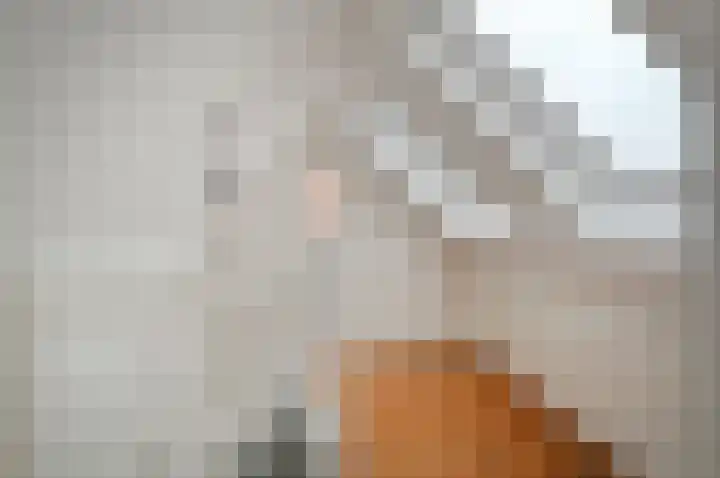 Boerhaavelaan 6 Bussum thumbnail 21